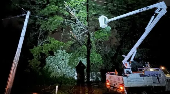 El temporal provocó caída de árboles y cortes de luz en distintas zonas de Tandil