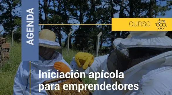 Se realizará un curso de Iniciación Apícola para Emprendedores en Tandil 