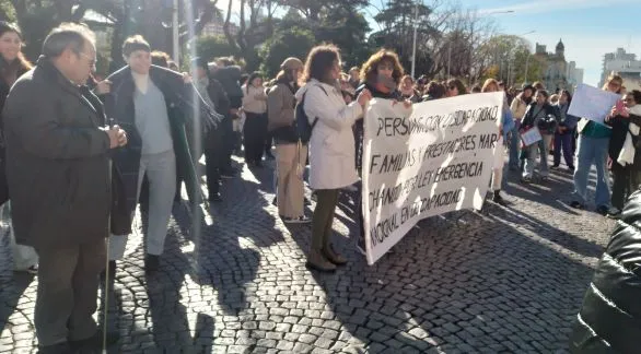 "No hay políticas de Estado concretas en materia de discapacidad"