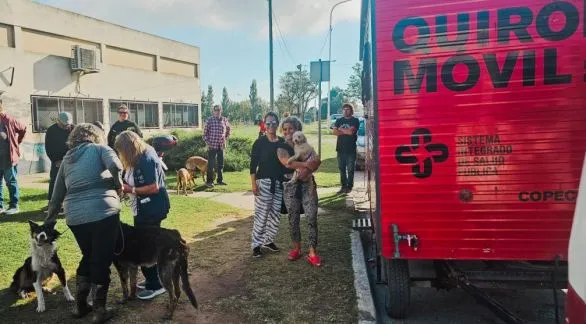 Sigue adelante el programa de castraciones y vacunaciones del quirófano móvil