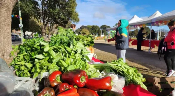 La Estación de Trenes vuelve a recibir al Mercado Alimenticio Barrial 