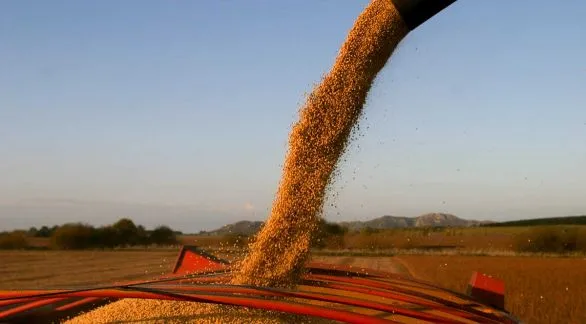 El campo vuelve a pagar más: suben las retenciones desde julio