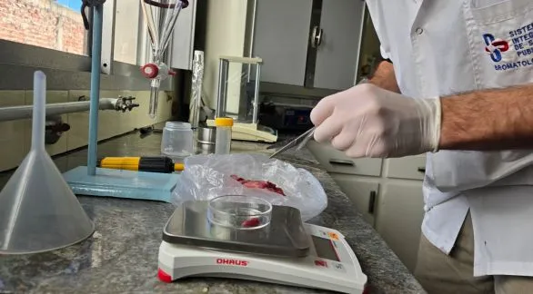 Triquinosis: Bromatología recuerda medidas de prevención de la enfermedad