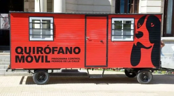 Continúa el programa gratuito de castración y vacunación en distintos barrios