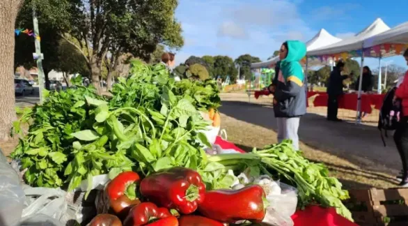 El Mercado Alimenticio Barrial vuelve hoy a la estación de trenes con nuevos productos