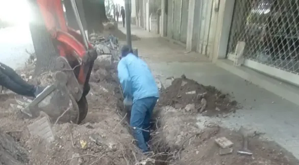El Municipio inició una nueva etapa del plan de tratamiento de raíces en veredas de la avenida Colón