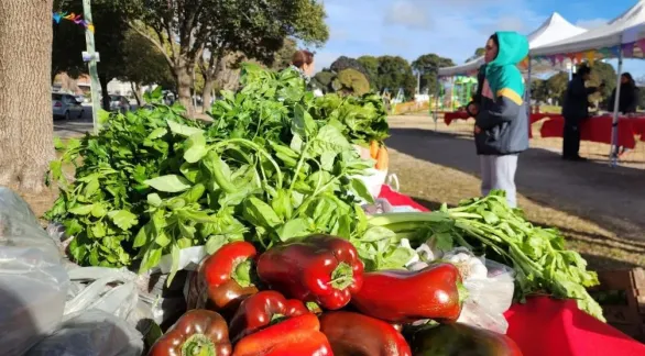 Nueva edición del Mercado Alimenticio Barrial este jueves en la estación de trenes