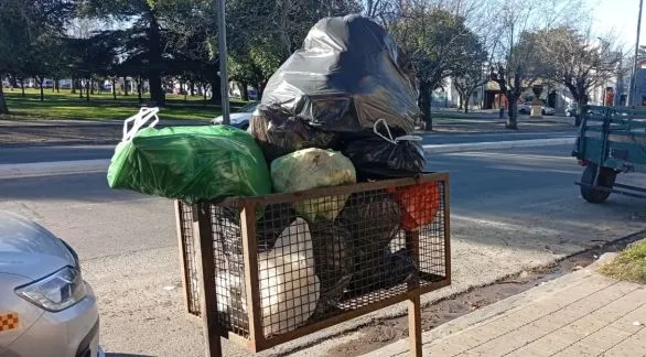 Avanza la normalización del servicio de recolección