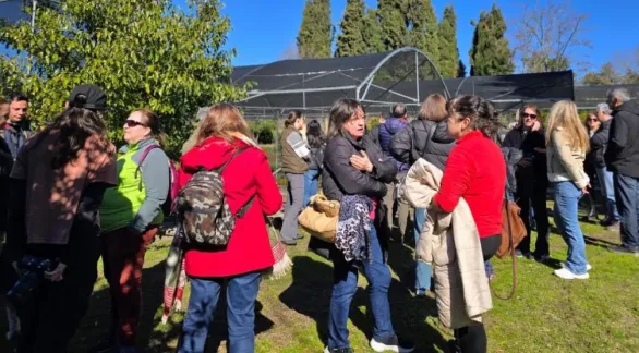 Se realizará un nuevo encuentro del ciclo municipal "Tandil Cultiva Saberes"