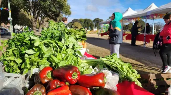 El Mercado Alimenticio Barrial vuelve este jueves a la estación de trenes 