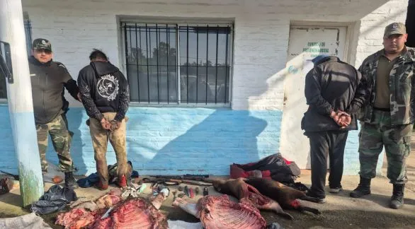 Dos hombres fueron detenidos tras una faena clandestina: uno tenía pedido de captura por abuso sexual