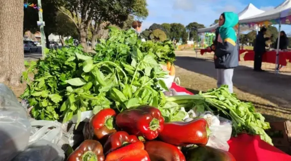 Invitan a productores locales a sumarse a la propuesta del Mercado Alimenticio Barrial
