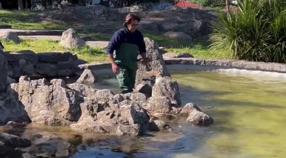 A una semana de su reinauguración, la Fuente de la Loba Romana en el Cerrito fue vandalizada