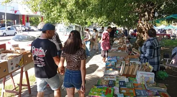Se desarrolla en la Plaza San Martín el Encuentro Provincial del Mercado de Pulgas