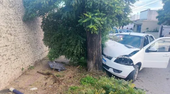 Un automóvil impactó contra un árbol en Lunghi y Del Valle